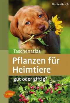 Busch - Pflanzen f. Heimtiere